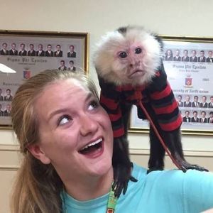 Meet your Posher, Casey